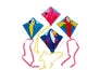 Tropical Bird Kites with Tail 12/pk
