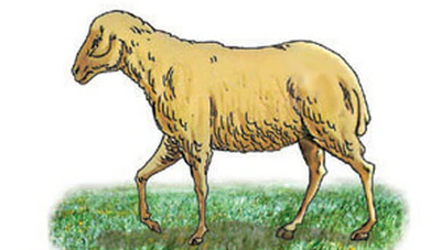 Sheep Cutout 2.5" x 2" 20/pk (Discontinued)