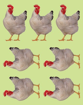Kaparah Sticker 6/sheets (discontinued)
