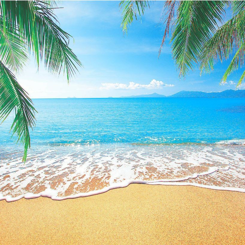 Beach Backdrop Banner 6ft x 6ft