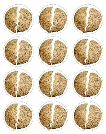 Broken Matzah Stickers 6 Sheets (discontinued)