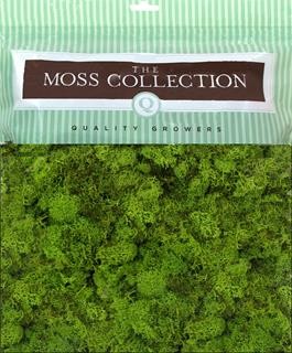 Quality growers moss 8 OZ