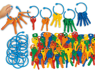 Plastic Keys 50/keys 10/rings