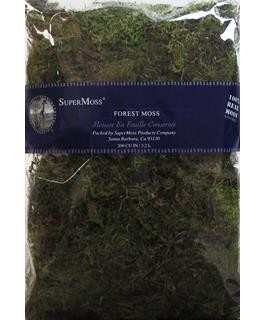 Forest Green Moss 2 oz