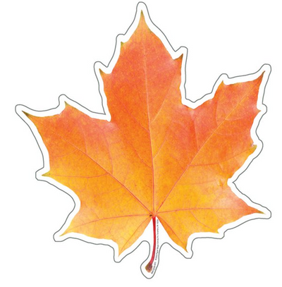Photo Leaf Paper Cut-Outs 5" 36/pk