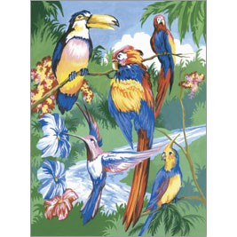 Tropical Birds Paint by Number