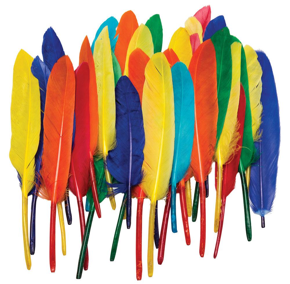 DUck Quills Feathers 14gr