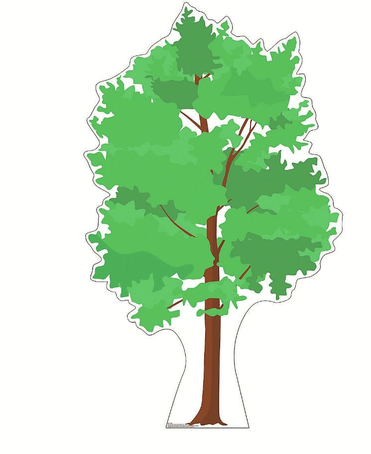 Tree Stand Up Cardboard 44" x 6ft