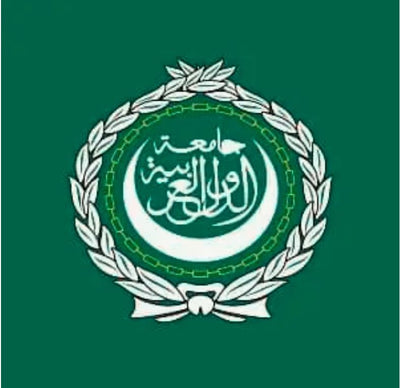 Arab League Flag 5' x 3'