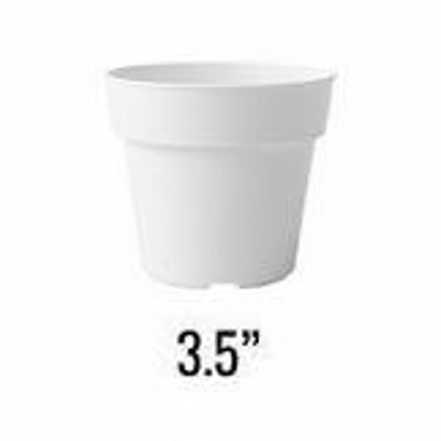 Flower Pot 1 pc (White, 3.5")