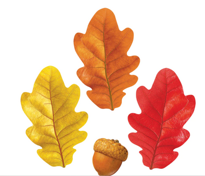 Fall Oak Leaves & Acorns Classic Accents 4.5" 108/pk
