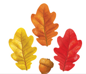 Fall Oak Leaves & Acorns Classic Accents 4.5