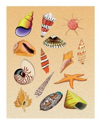 Sea Shells Stickers 25/pk