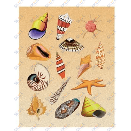 Sea Shells Stickers 25/pk