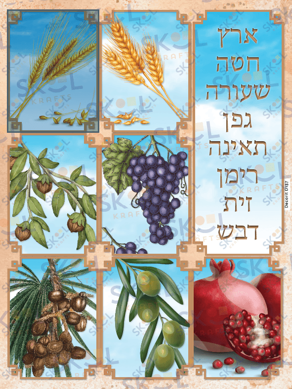 Shivas Haminim Poster (Sky) 18" x 24" Laminated