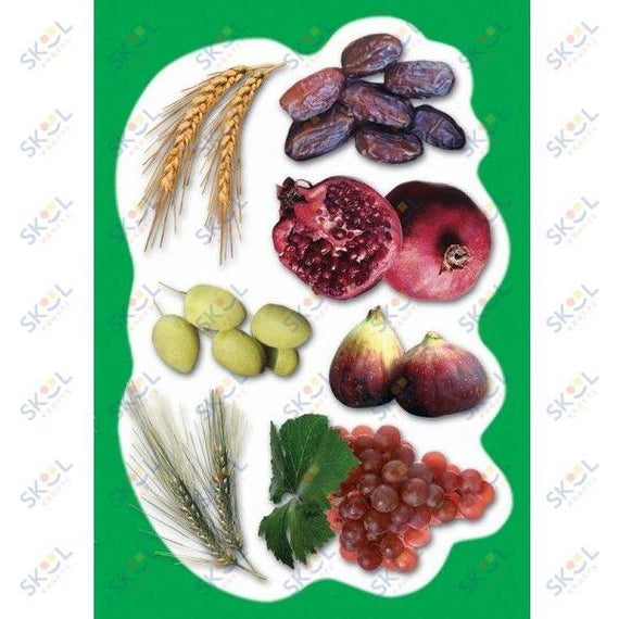 Shivas Haminim Cutouts 18 Sheets