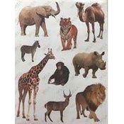 Jungle animal stickers 10/Sheets