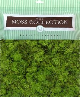 Quality growers moss 5.68QT