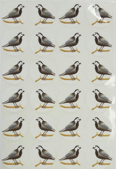 Pigeon Bird Stickers 1" 10/sheets
