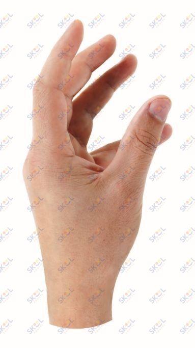 Hand Cutout 20/pk