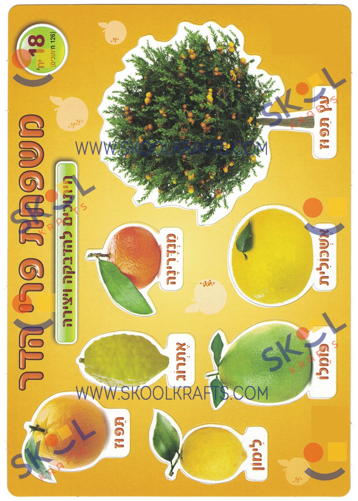 Fruit Cardstock Cutouts 18 Sheets