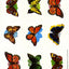 Giant Butterfly Stickers 1 5/16" X 1 3/4" 36/pk