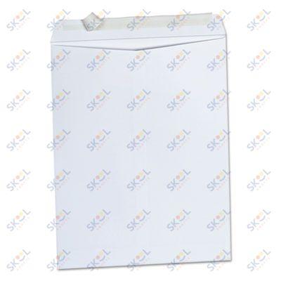 White Envelopes 100/pk (6"x9")