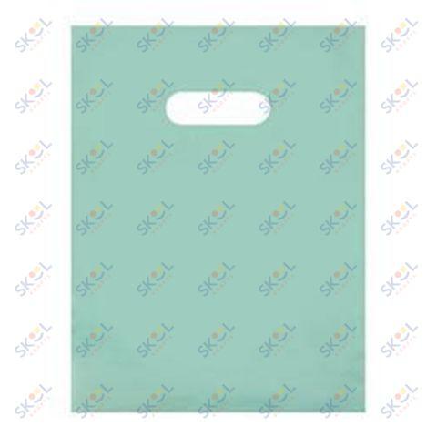 Frosted Bags (12" x 15", Aqua, 250 Pack)