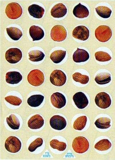 Nuts and Dried Fruit Stickers 1" 10 Sheets