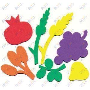 Shivas Haminim Foam Cutout 70/pk