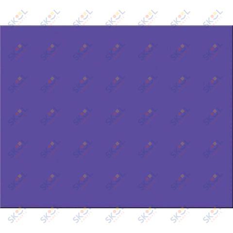 Poster Board 22" x 28"