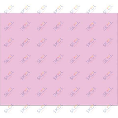 Poster Board 22" x 28" (Assorted, 100 Pack)