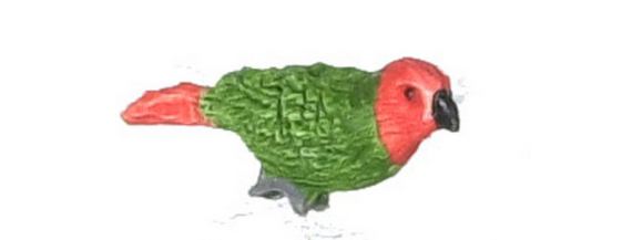 REDHEADED PARROT
