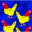 Chicken Stickers (25 Pack)
