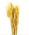 4oz Natural Barley