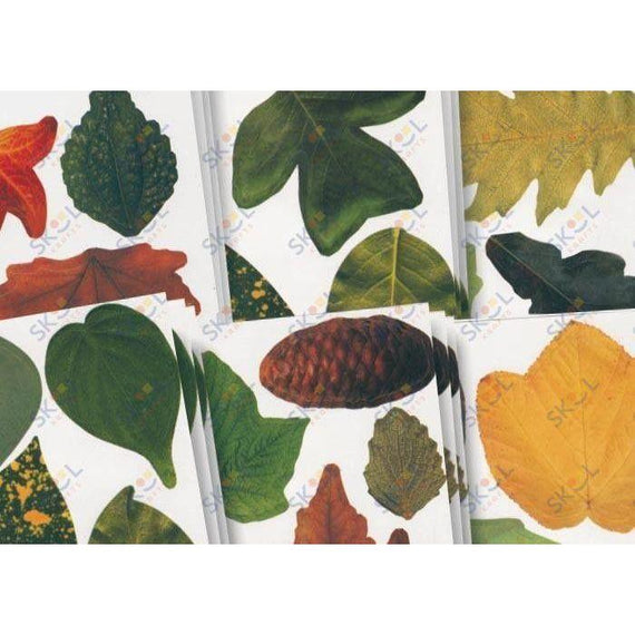 Crafty Leaves 266/pkg