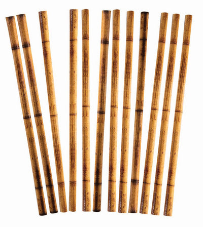 Bamboo Printed Straws 24/Pk