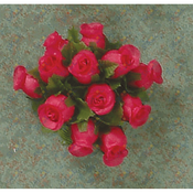 Poly Rose 144/pk