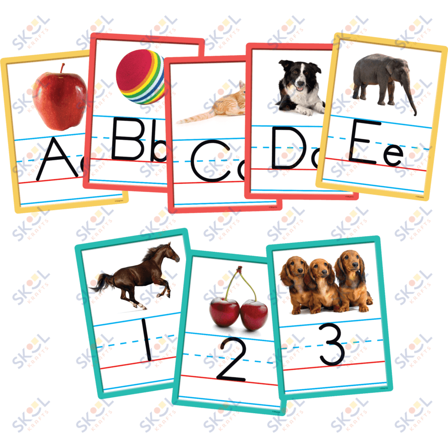 Alphabet and Numbers Accents 6" x 8" 36/pk