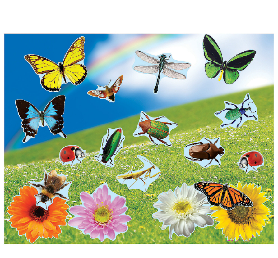 Realistic Bugs & Flowers Sticker Scenes - 12 Pc.
