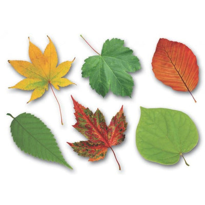 Fall Leaves Cutout 20/sheets