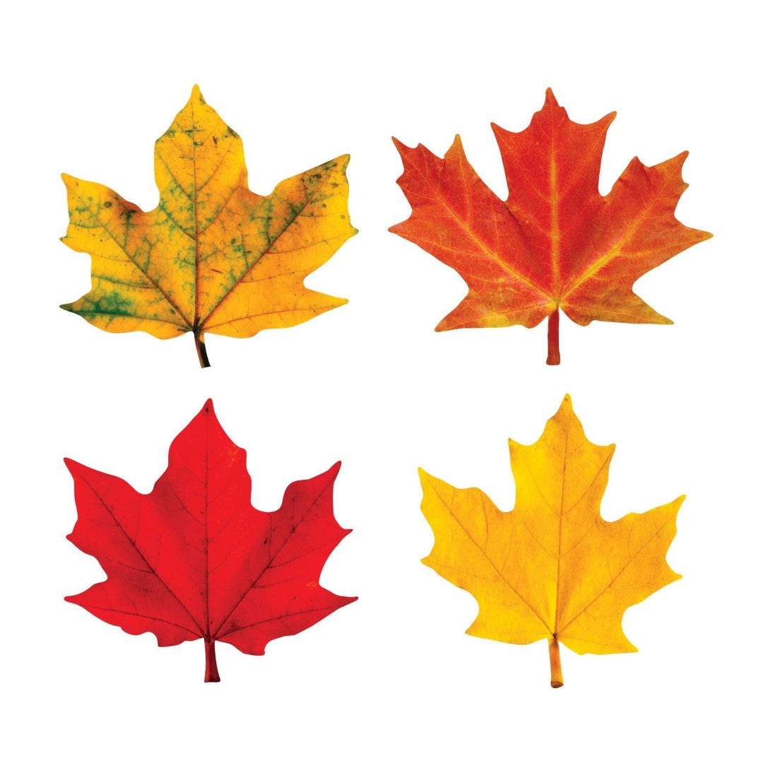 Maple Leaves Mini Accents Variety Pack 3" 36/pk