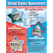 United States Government Learning Chart 17
