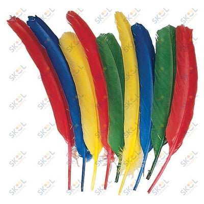 Quill Feathers Assorted Colors 24 Pieces