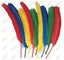 Quill Feathers Assorted Colors 24 Pieces