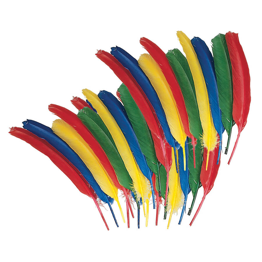 Quill Feathers Assorted Colors 24 Pieces