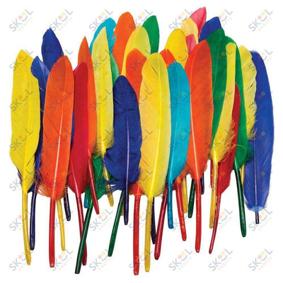 DUck Quills Feathers 14gr