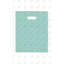 Frosted Bags (12" x 15", Aqua, 250 Pack)