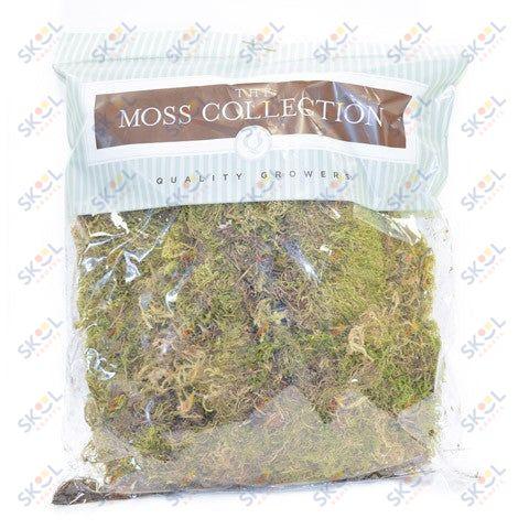 Tree Moss Green Medium 1.87QT