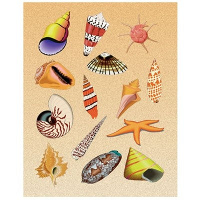 Sea shells stickers 3/sheets